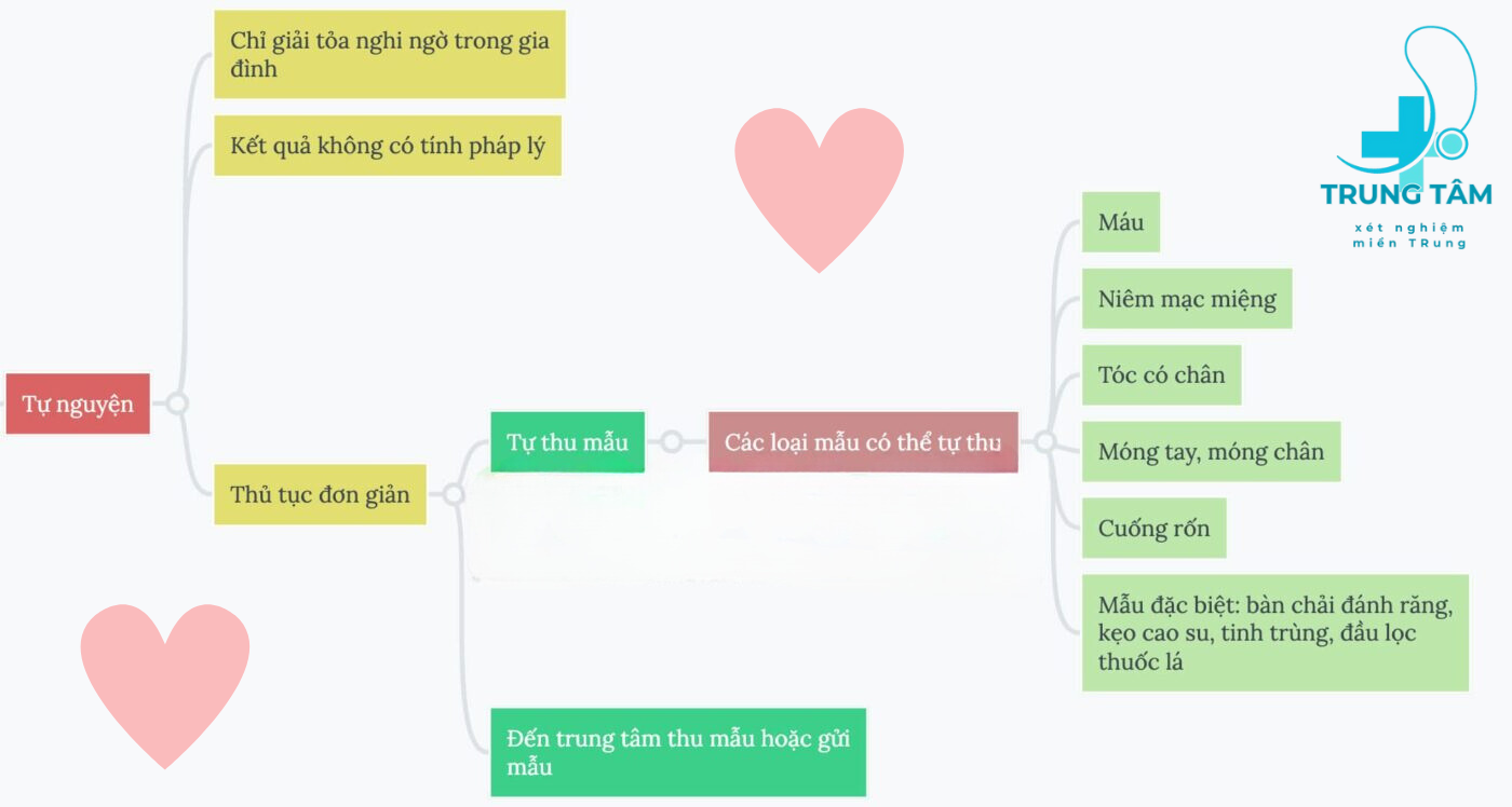 Quy trình thủ tục xét nghiệm ADN hành chính / pháp lý